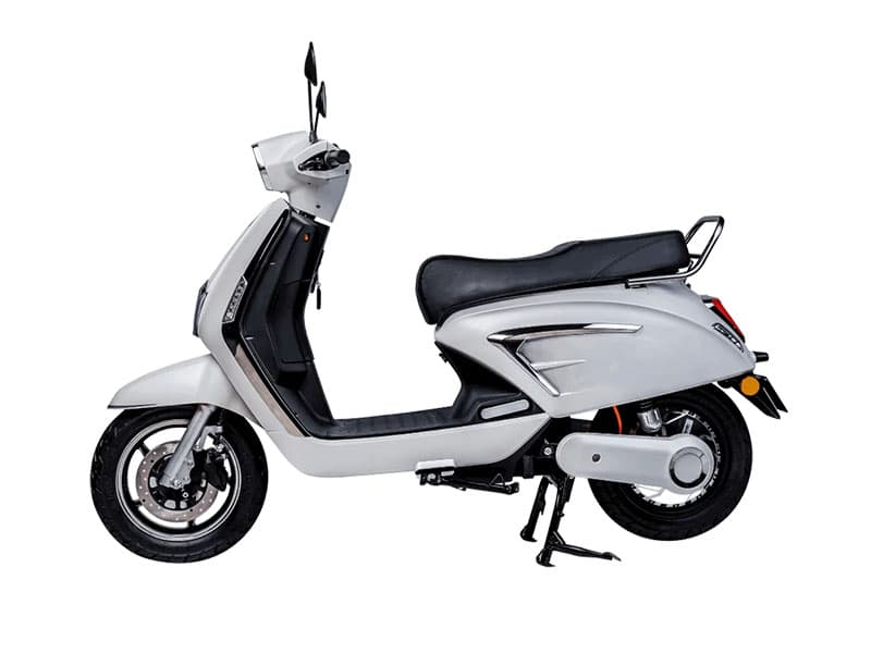 JeetX Standard White