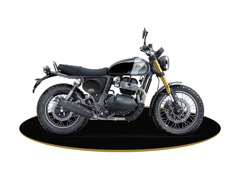 Bear 650 Golden Shadow