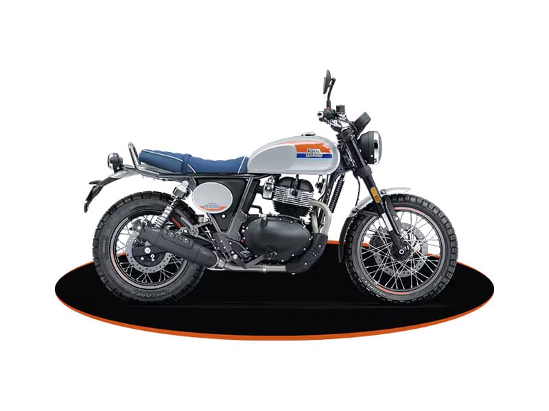 Bear 650 Boardwalk White