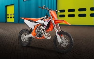 65 SX